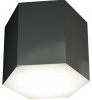 Фото товара Светильник Intelite Ceiling Lamp Cleo 15W L Black (I428315L-BL)