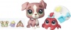 Фото товара Набор фигурок Hasbro Littlest Pet Shop Calla Boxton & Blossom Clauson B5686 (A7313-22)