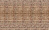 Фото товара Напольный фон Savage Floor Drops Aged Brick 1.52x2.13м (FD12657)