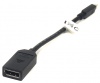 Фото товара Переходник Mini DisplayPort -> DisplayPort PowerPlant (CA910472)