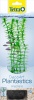 Фото товара Растение пластиковое Tetra Anacharis DecoArt Plant L 30 см (270503/709929)