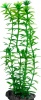 Фото товара Растение пластиковое Tetra Anacharis DecoArt Plant S 15 см (270176/709917)