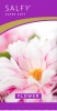 Фото товара Носовые платки Salfy Цветок (105-0021)