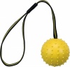 Фото товара Мяч Trixie апортировочный на канате натуральная резина 6 см/35 см (32820)