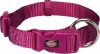 Фото товара Ошейник Trixie Premium нейлон S 25–40 см/15 мм ярко-розовый (202220)