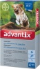 Фото товара Средство от паразитов для собак Bayer Адвантикс более 25 кг 4 пипетки (91010)