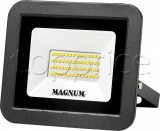 Фото Прожектор Magnum FL ECO LED 50W Slim 6500K IP65 (90011661)