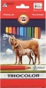 Фото товара Карандаши цветные Koh-I-Noor Triocolor Jumbo Horses 24 цвета (3144)