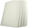 Фото товара Обложка картонная bindMARK Капитал глянец A4 250г 100 шт. белая (41601)
