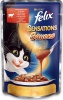 Фото товара Корм для котов Felix Sensations с говядиной и томатами в соусе 100 г (7613036076371)