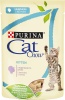 Фото товара Корм для котов Cat Chow Kitten с индейкой и цукини в желе 85 г (7613036595001)