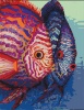 Фото товара Набор для акриловой живописи по номерам РОСА Рыбы (4823098507345)