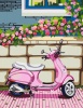 Фото товара Набор для акриловой живописи по номерам РОСА Розовый мопед (4823098503262)