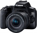 Фото Цифровая фотокамера Canon EOS 250D Kit 18-55 IS STM Black (3454C007)