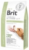 Фото товара Корм для собак Brit GF VetDiets Dog Diabetes 2 кг (170943/8103)