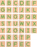 Фото Игрушка обучающая Viga Toys Магнитные буквы Заглавные 40 шт. (50588)