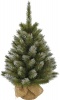 Фото товара Сосна Triumph Tree h-0.9 м Green (8717669775799)