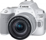 Фото Цифровая фотокамера Canon EOS 250D Kit 18-55 IS White (3458C003)