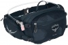 Фото товара Поясная сумка Osprey Seral Slate Blue O/S (009.2148)
