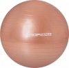 Фото товара Мяч для фитнеса Profi 65 см Gold (M0276-5)