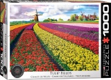 Фото Пазл EuroGraphics Поле тюльпанов в Нидерландах (6000-5326)
