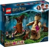 Фото товара Конструктор LEGO Harry Potter Запретный лес Грохх и Долорес Амбридж (75967)