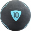 Фото товара Мяч для фитнеса (Медбол) LivePro Solid Medicine Ball LP8110-10