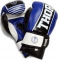 Фото Боксерские перчатки Thor Thunder 14oz Blue (529/11(PU))