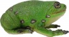 Фото товара Фигурка Lanka Novelties Лягушка зеленая древесная (21554)