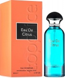 Фото Парфюмированная вода мужская Fragrance World Eau De Citrus EDP 80 ml