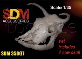 Фото Набор DAN models Череп коровы (DAN-SDM35007)