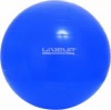 Фото товара Мяч для фитнеса LiveUp Gym Ball 75 см (LS3221-75b)