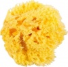Фото товара Губка банная OK Baby Honeycomb Sea Sponge (38471200)