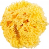Фото Губка банная OK Baby Honeycomb Sea Sponge (38471200)