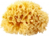 Фото Губка банная OK Baby Silk Fine Sea Sponge (38481600)