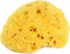 Фото товара Губка банная OK Baby Honeycomb Sea Sponge (38471400)