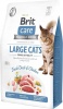 Фото товара Корм для котов Brit Care Cat GF Large cats Power&Vitality 2 кг (171310/0914)