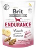 Фото товара Функциональные лакомства для собак Brit Care Endurance ягненок с бананом 150 г (111424/0006)