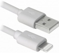 Фото Кабель USB2.0 AM -> Lightning REAL-EL 1 м White (EL123500055)