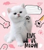 Фото товара Тетрадь в клетку YES 12л. Live love meow (765496)