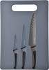 Фото товара Набор ножей San Ignacio SG-4276