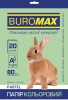 Фото товара Бумага Buromax Pastel Light Green, 80г/м, A4, 20л. (BM.2721220-15)