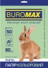 Фото товара Бумага Buromax Pastel Green, 80г/м, A4, 50л. (BM.2721250-15)