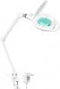 Фото товара Настольная лампа Delux TF-170 10W LED White (90017597)