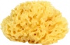 Фото товара Губка банная OK Baby Silk Fine Sea Sponge (38481400)