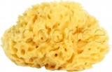 Фото Губка банная OK Baby Silk Fine Sea Sponge (38481400)