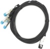 Фото товара Кабель Raybridge QSFP-4SFP+ Direct Attache Cable (QSFP-4SFP+3M)