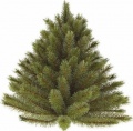 Фото Сосна Triumph Tree h-0.6 м Forest Frosted Green (8718861155426)