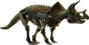Фото товара Игровой набор Melissa&Doug Большой скелет динозавра – Трицератопс (D502)