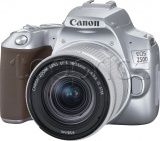 Фото Цифровая фотокамера Canon EOS 250D Kit 18-55 IS STM Silver (3461C003)